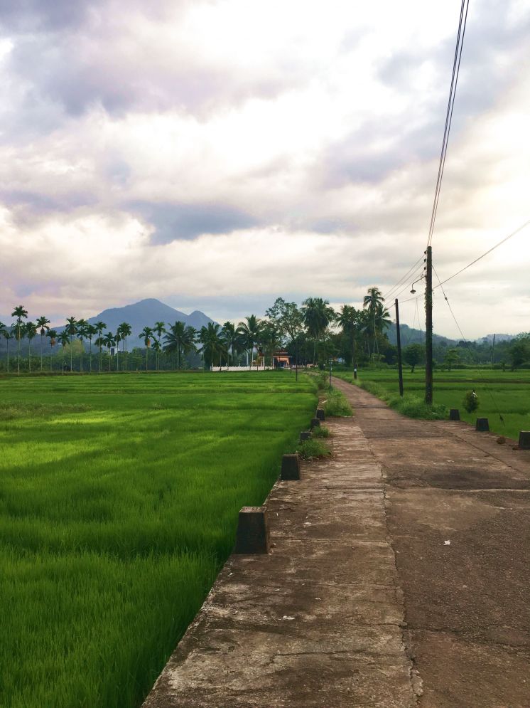 Les qualit&eacute;s d'un Saphir